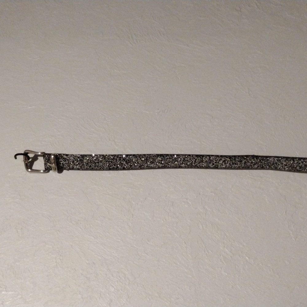 Silver glitter belt